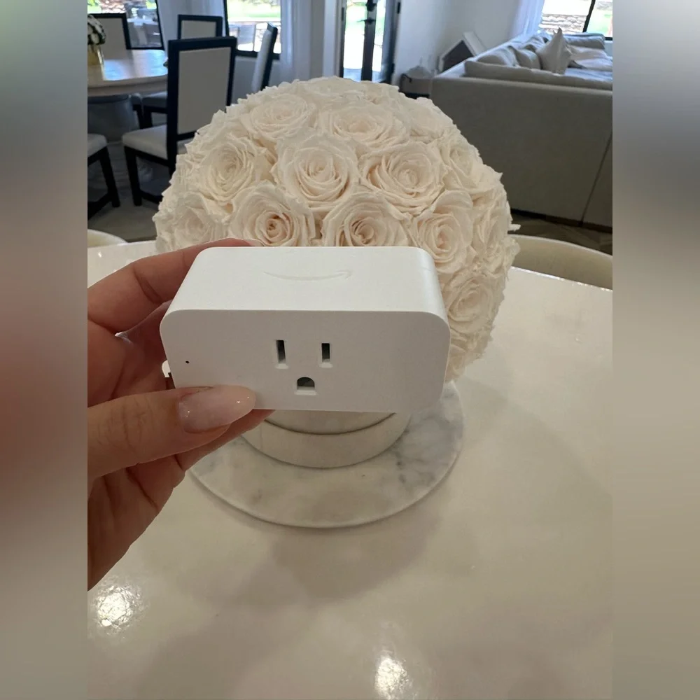 Amazon Smart Plug | Works with Alexa | Simple setup, endless possibilities